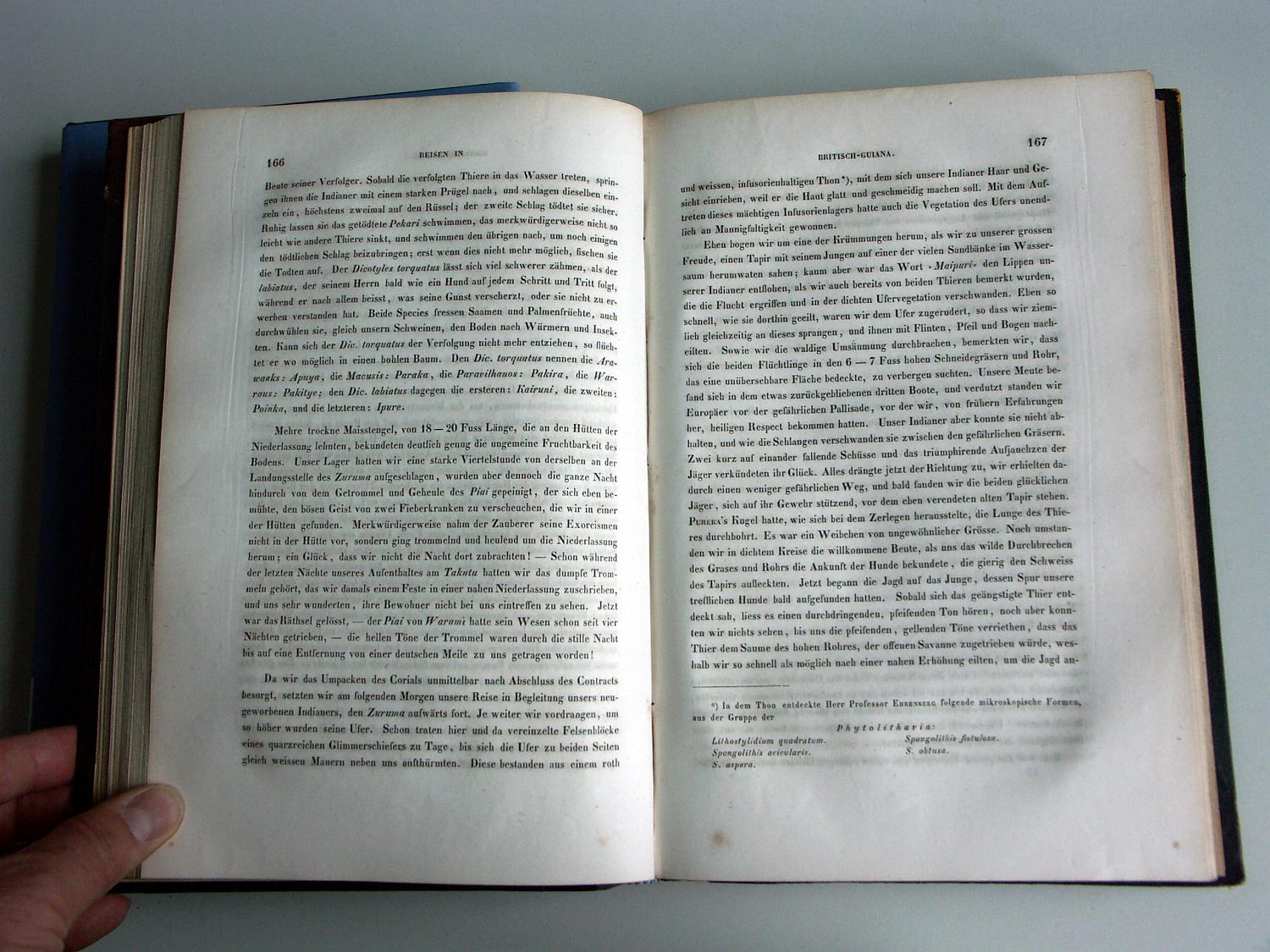 ZZ-RISC48,S.166 Piaje-Behandlung